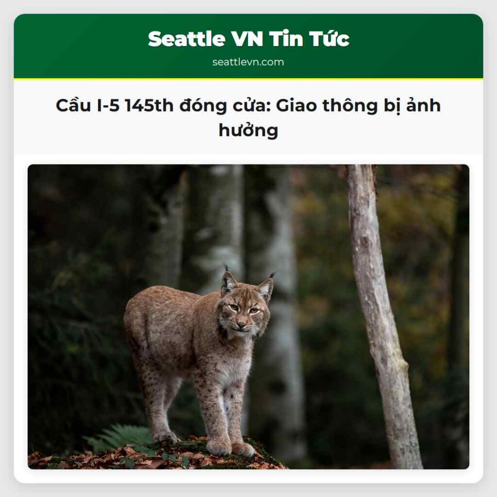 Cầu I-5 145th đóng cửa: Giao thông bị ảnh hưởng