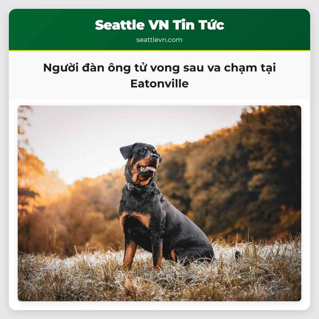Người đàn ông tử vong sau va chạm tại Eatonville