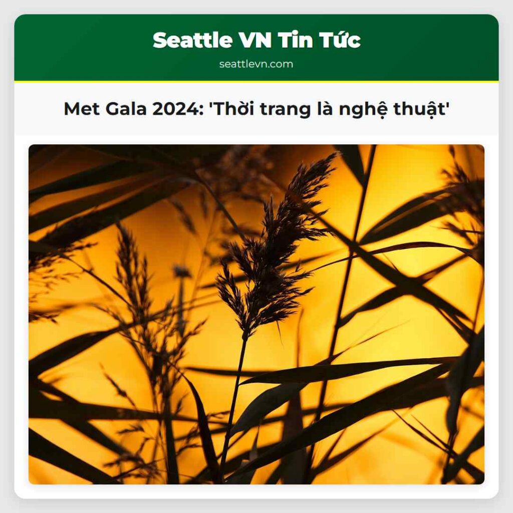 Met Gala 2024: 'Thời trang là nghệ thuật'
