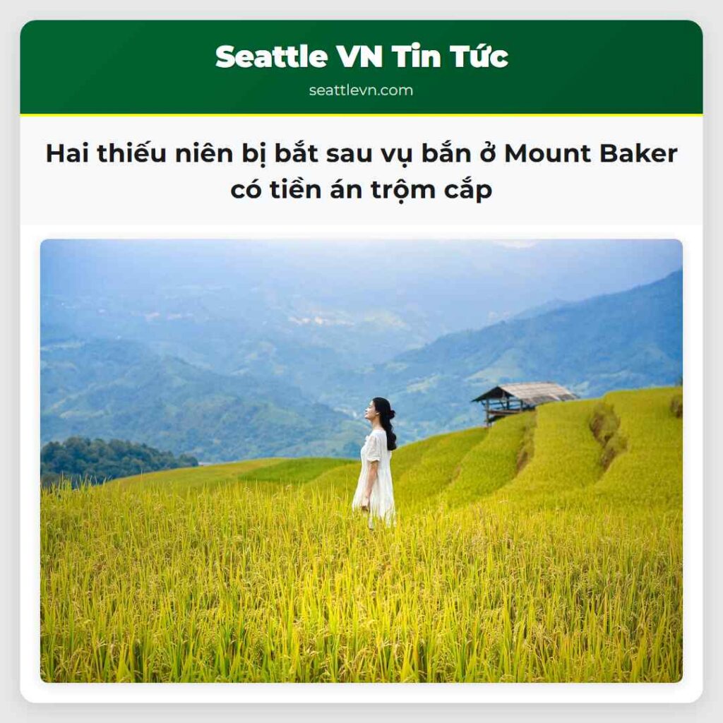 Hai thiếu niên bị bắt sau vụ bắn ở Mount Baker có