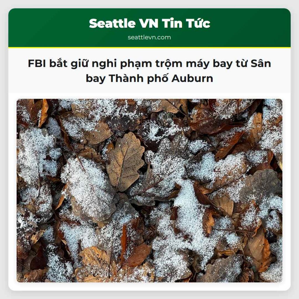 FBI bắt giữ nghi phạm trộm máy bay từ Sân bay
