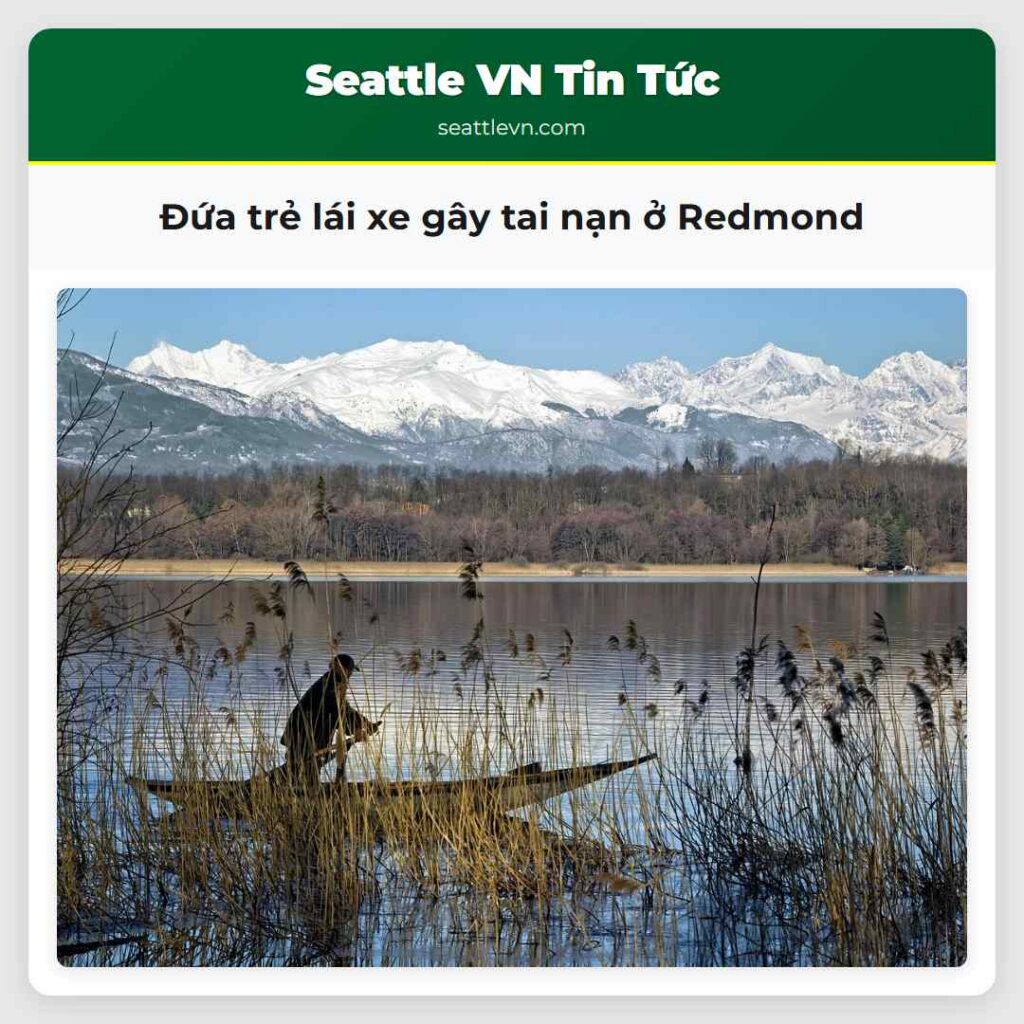Đứa trẻ lái xe gây tai nạn ở Redmond