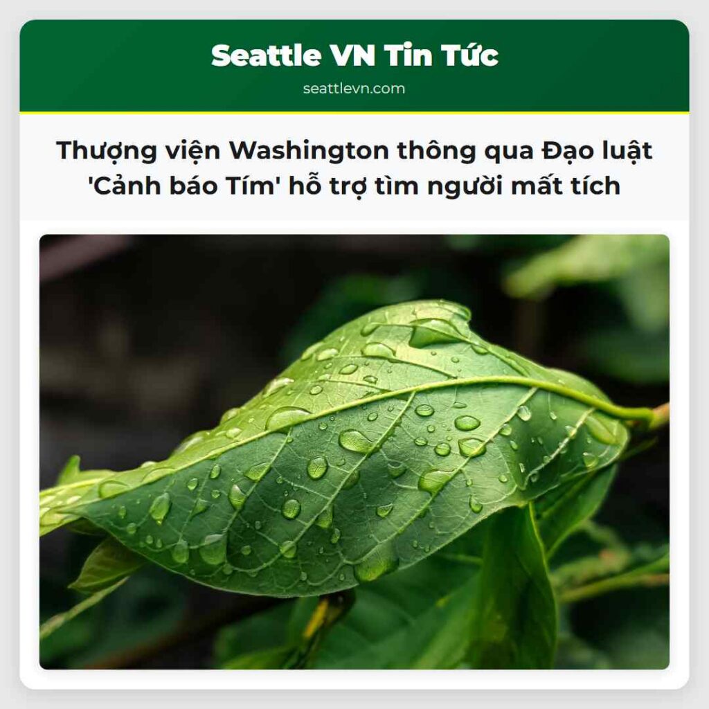 Thượng viện Washington thông qua Đạo luật 'Cảnh