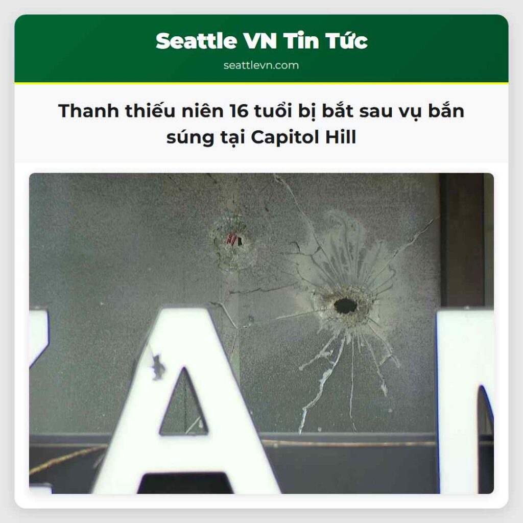 Thanh thiếu niên 16 tuổi bị bắt sau vụ bắn súng