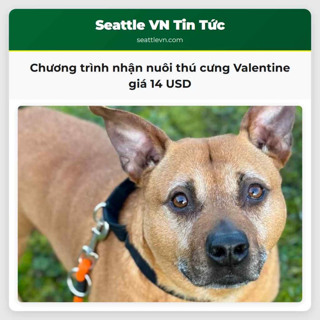 Chương trình nhận nuôi thú cưng Valentine giá 14