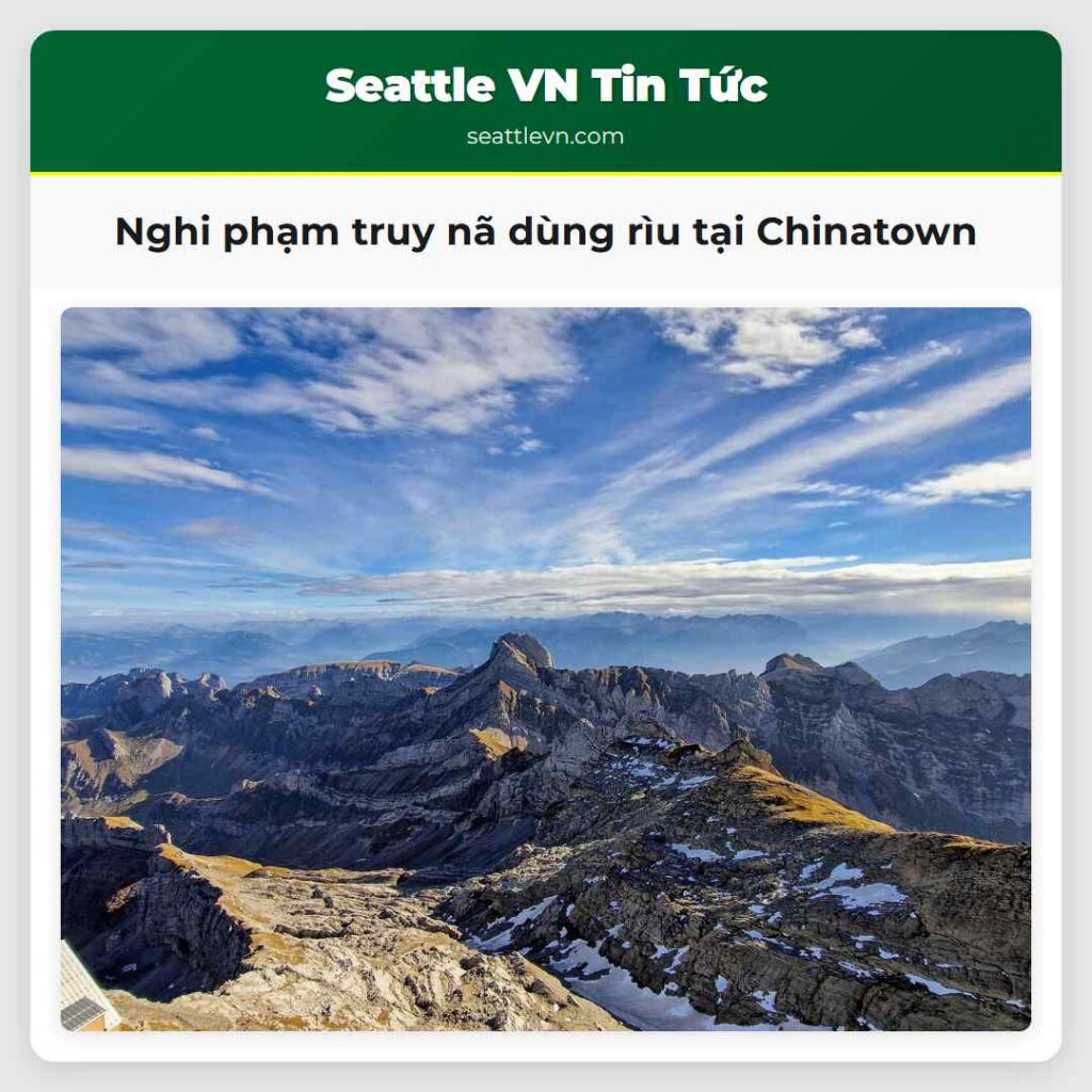 Nghi phạm truy nã dùng rìu tại Chinatown