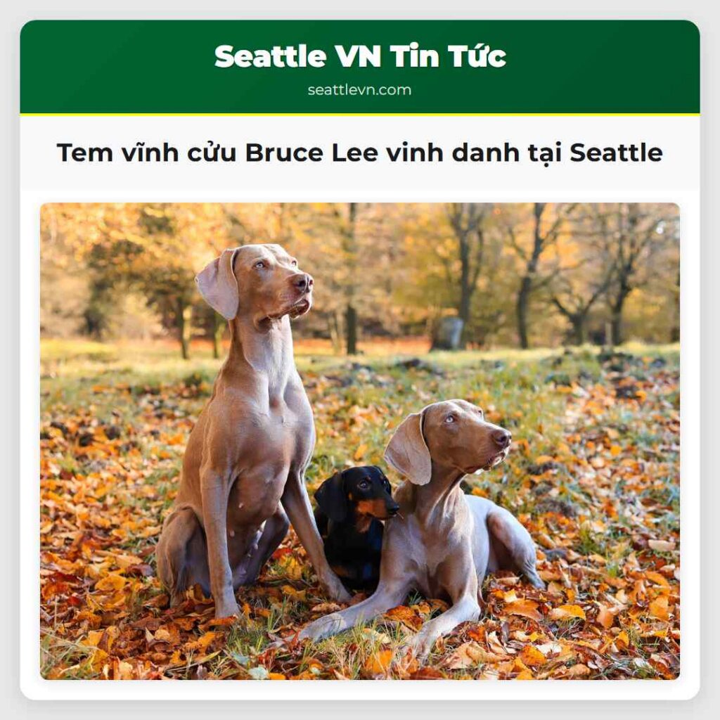 Tem vĩnh cửu Bruce Lee vinh danh tại Seattle