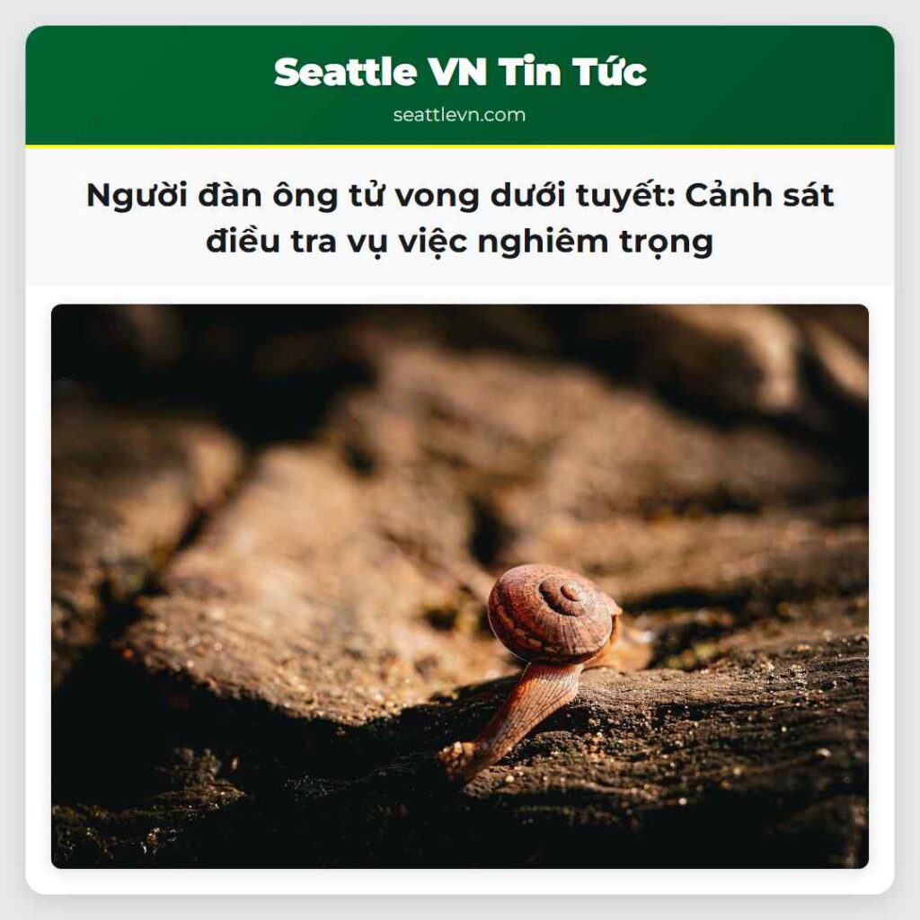 Người đàn ông tử vong dưới tuyết: Cảnh sát điều