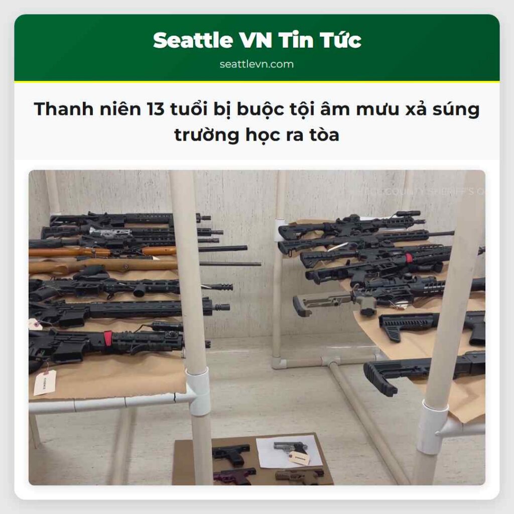 Thanh niên 13 tuổi bị buộc tội âm mưu xả súng