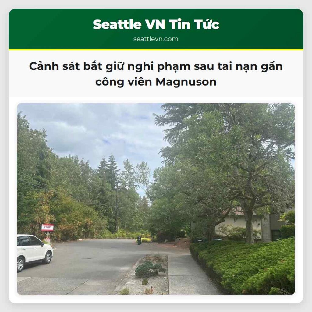 Cảnh sát bắt giữ nghi phạm sau tai nạn gần công