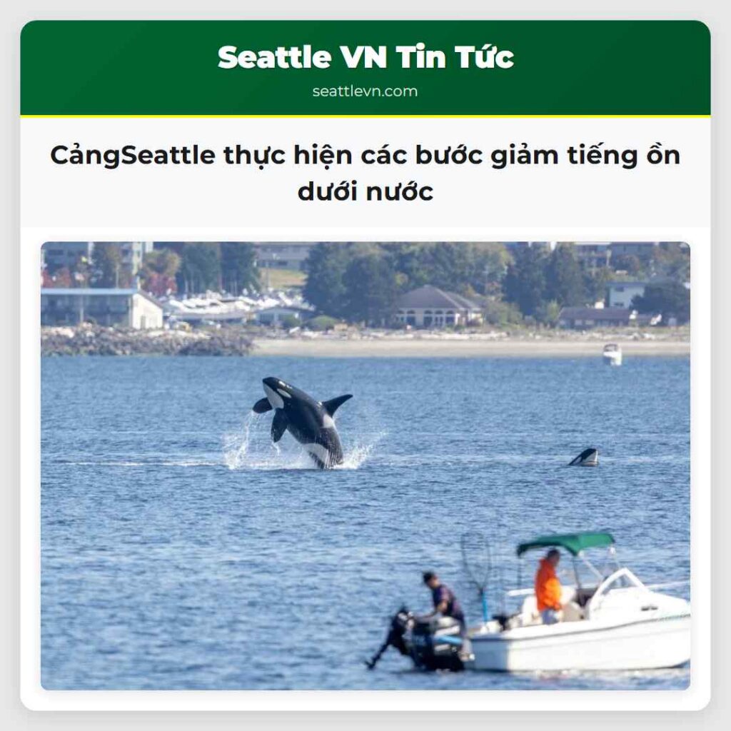 CảngSeattle thực hiện các bước giảm tiếng ồn dưới