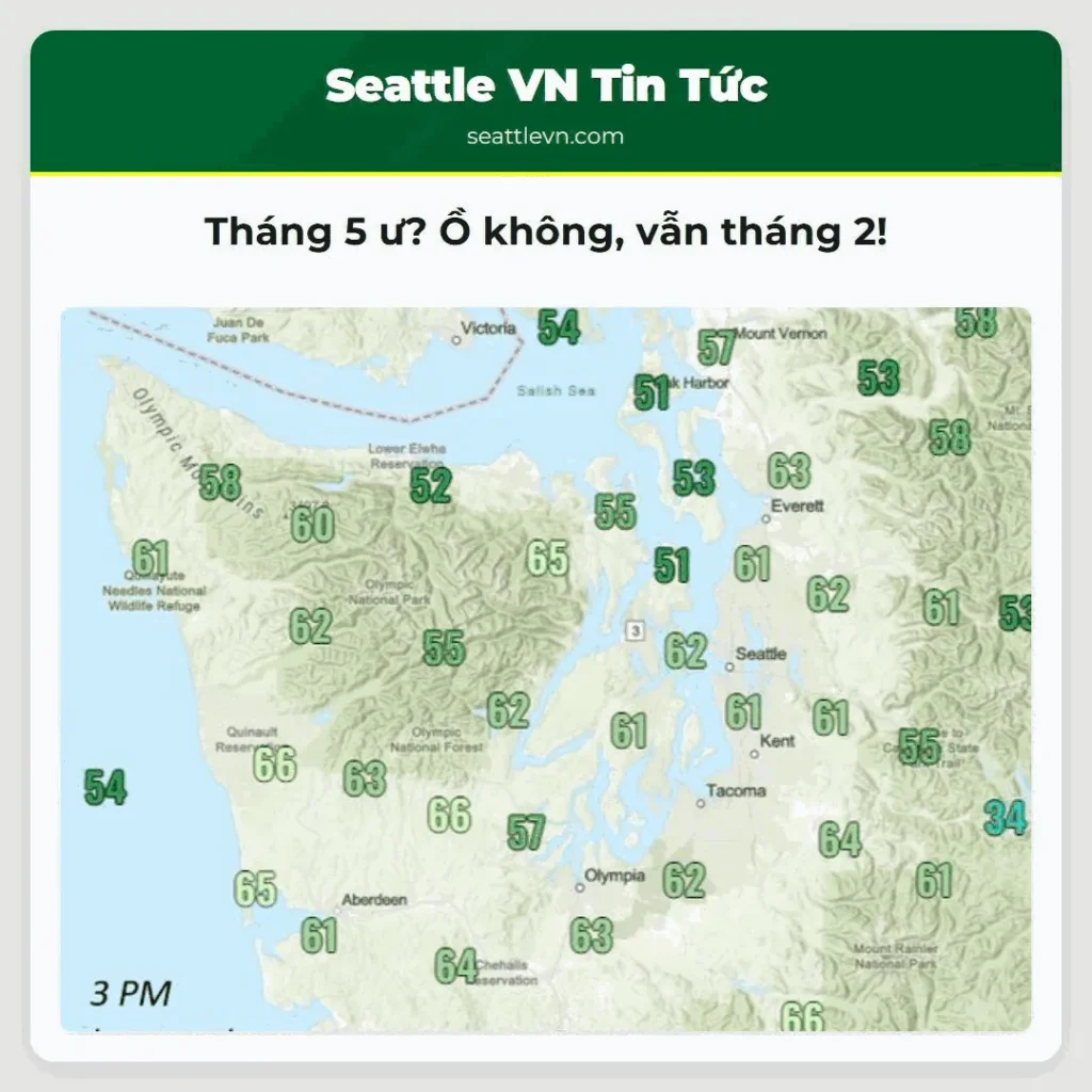 Tháng 5 ư? Ồ không, vẫn tháng 2!