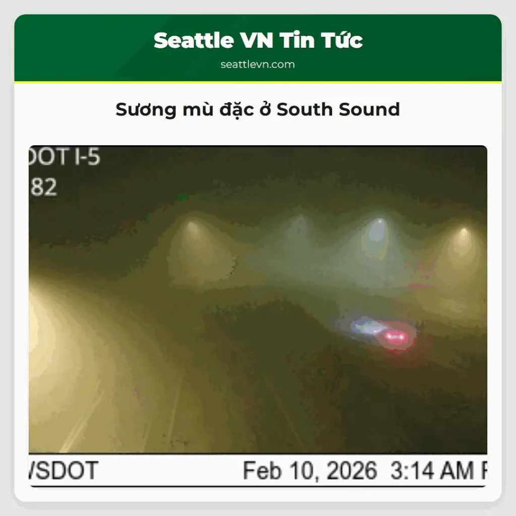 Sương mù đặc ở South Sound