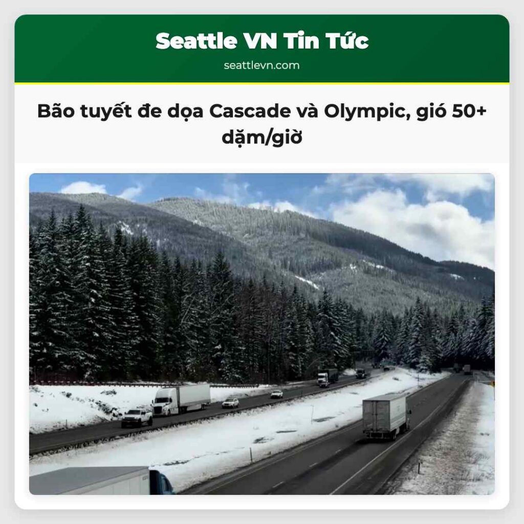 Bão tuyết đe dọa Cascade và Olympic, gió 50+