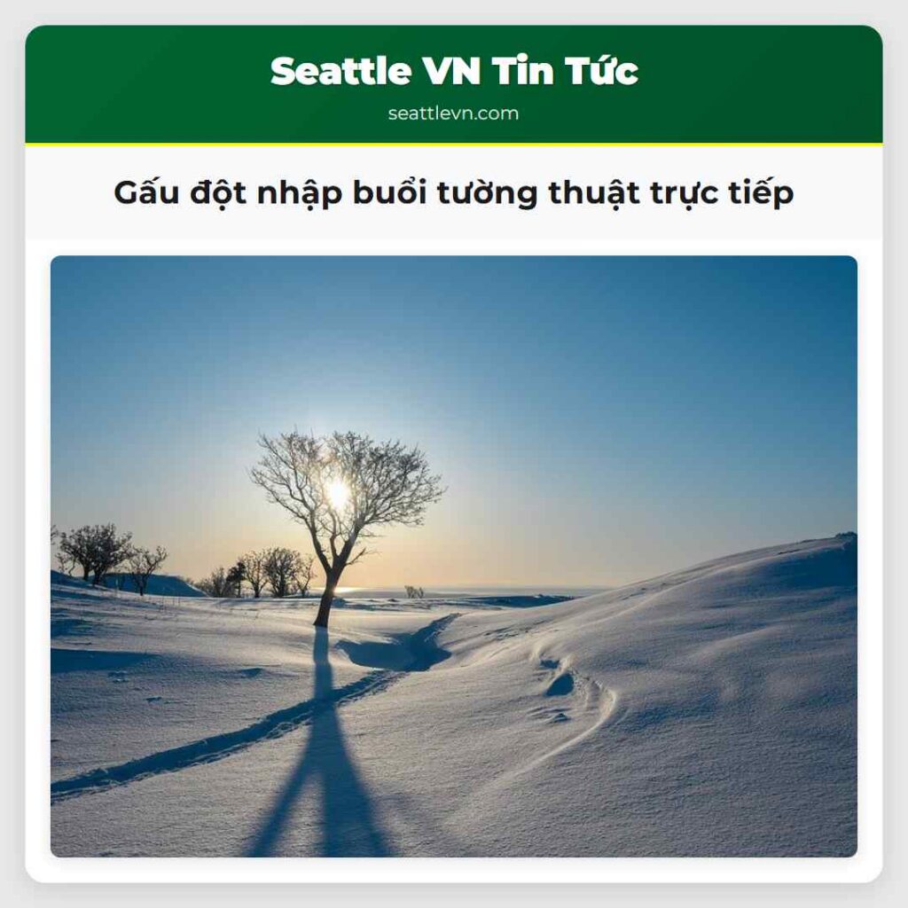 Gấu đột nhập buổi tường thuật trực tiếp