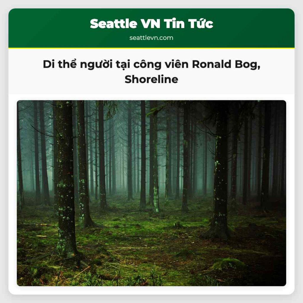 Di thể người tại công viên Ronald Bog, Shoreline