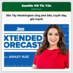 Bắc Tây Washington ứng phó với cơn bão trung tuần tuyết núi dày và gió mạnh