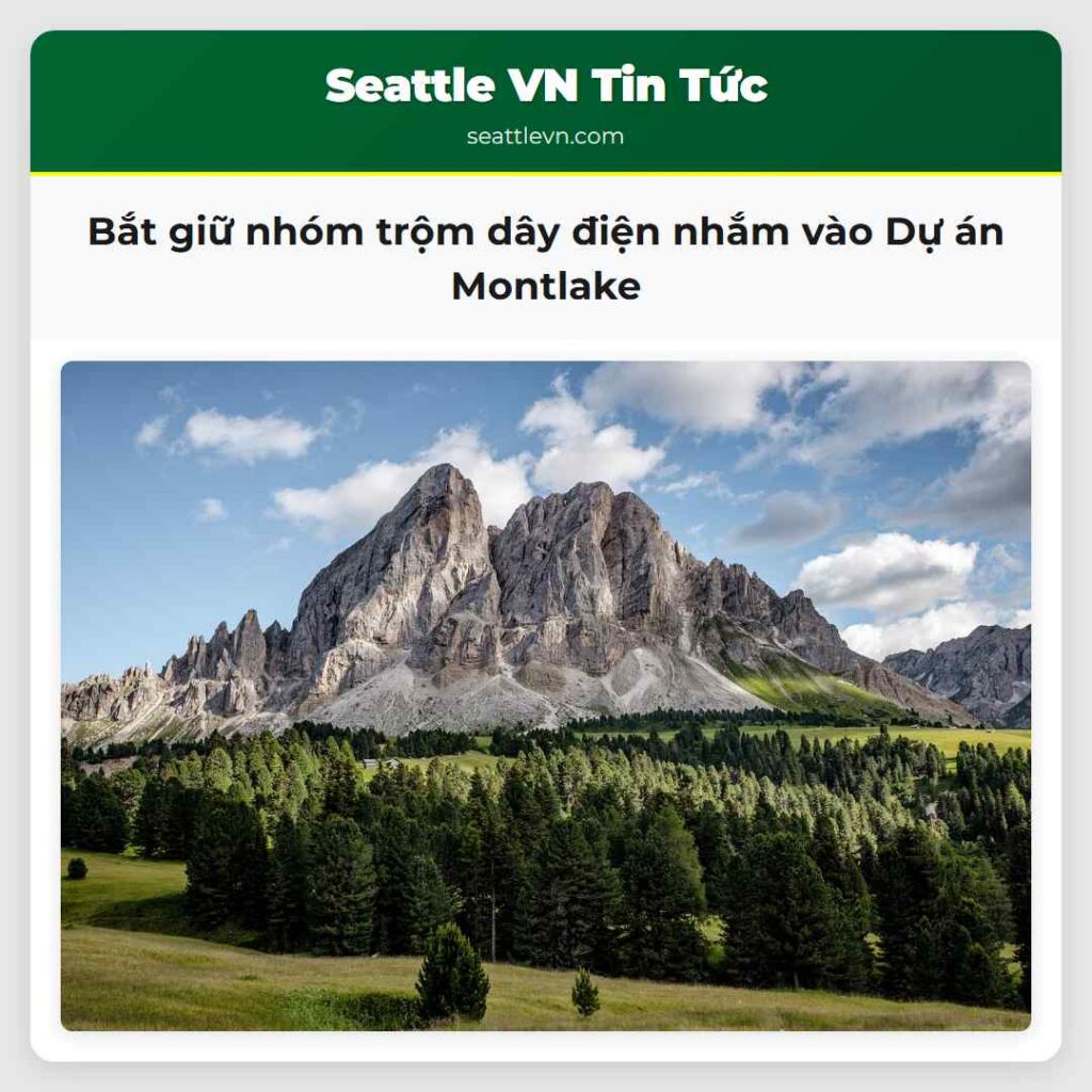 Bắt giữ nhóm trộm dây điện nhắm vào Dự án Montlake