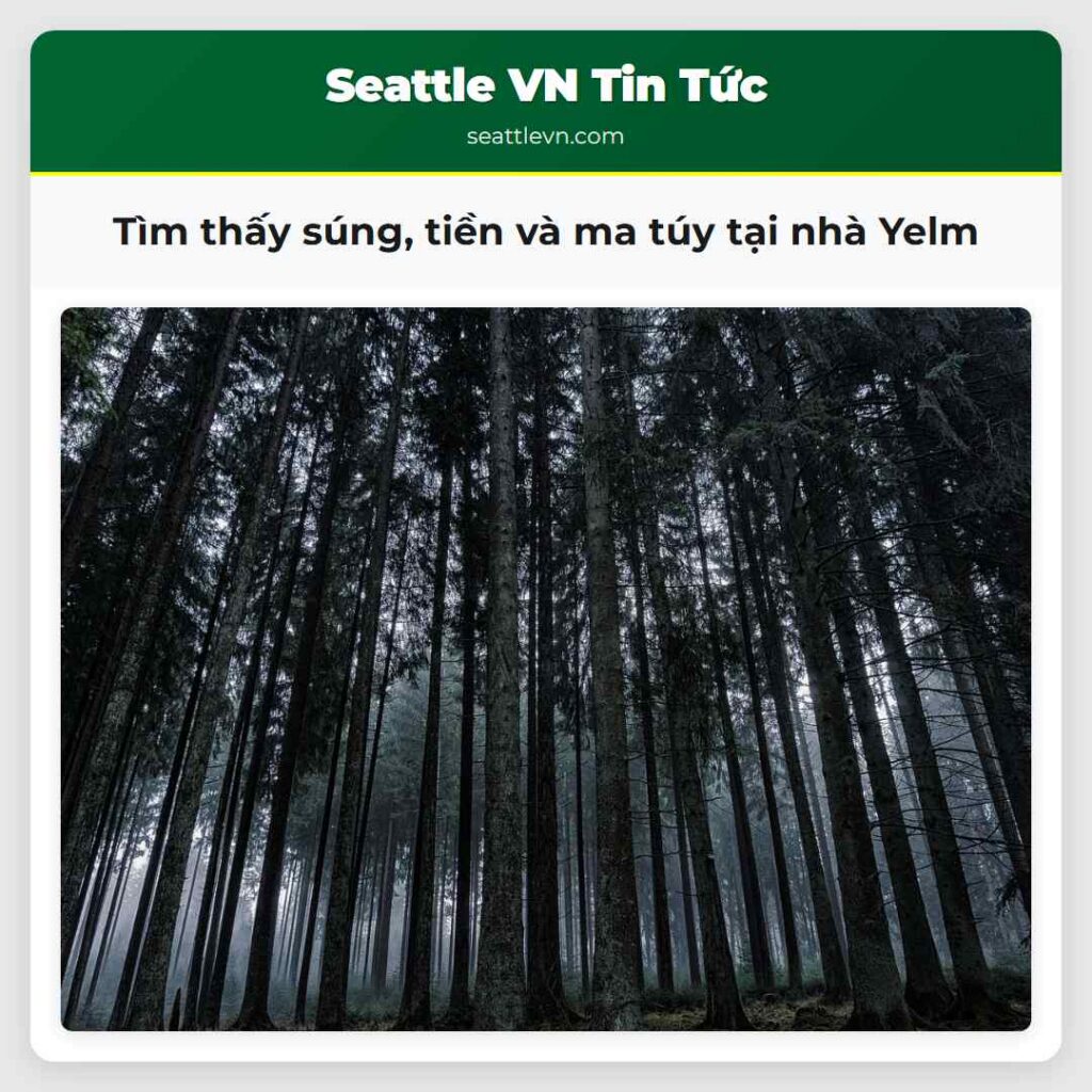 Tìm thấy súng, tiền và ma túy tại nhà Yelm