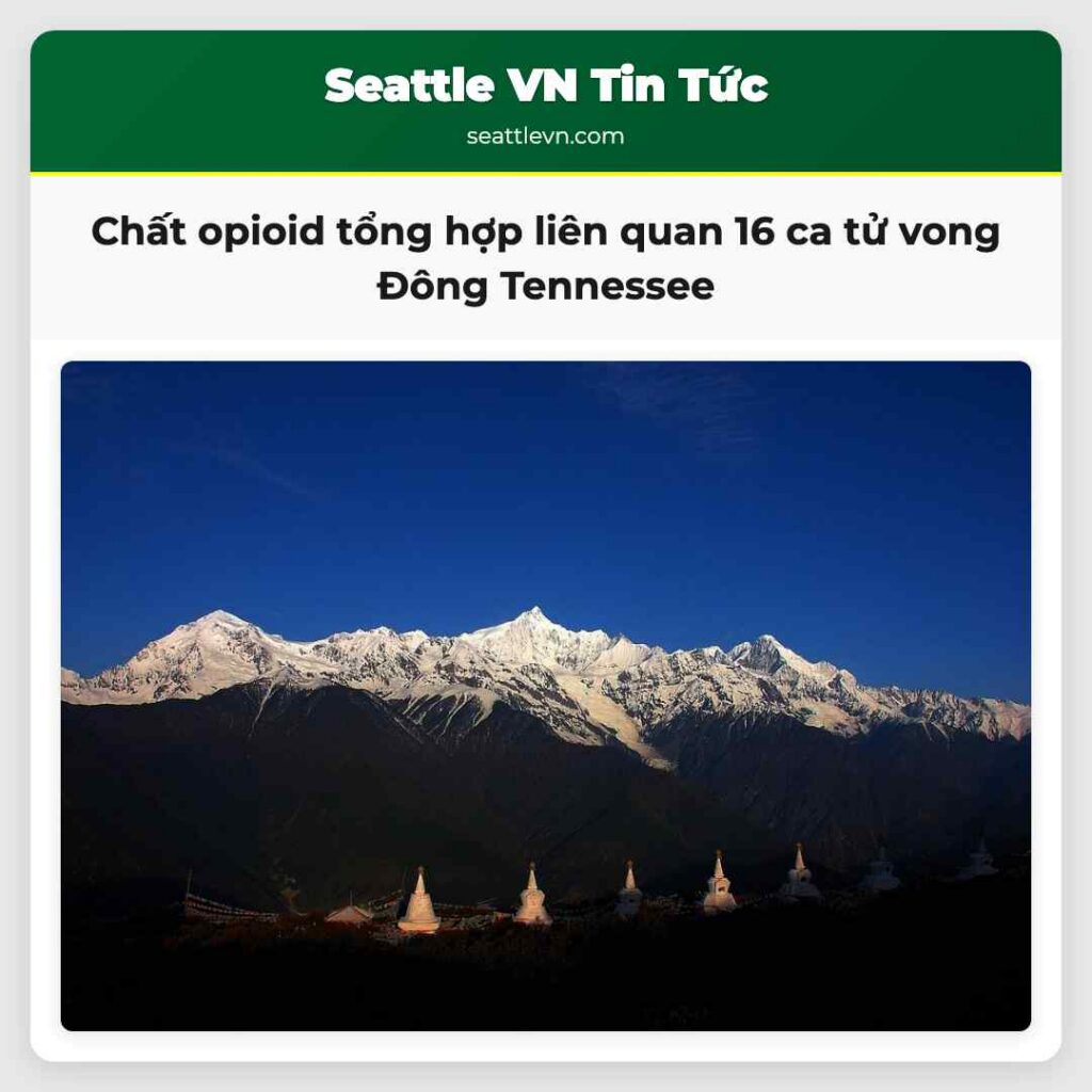 Chất opioid tổng hợp liên quan 16 ca tử vong Đông