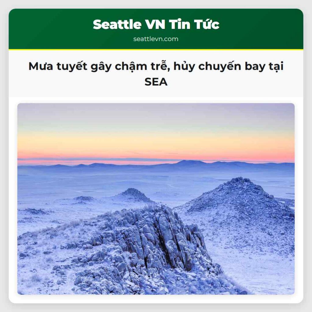 Mưa tuyết gây chậm trễ, hủy chuyến bay tại SEA