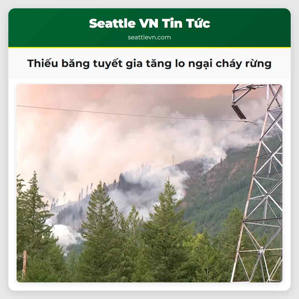 Thiếu băng tuyết gia tăng lo ngại cháy rừng