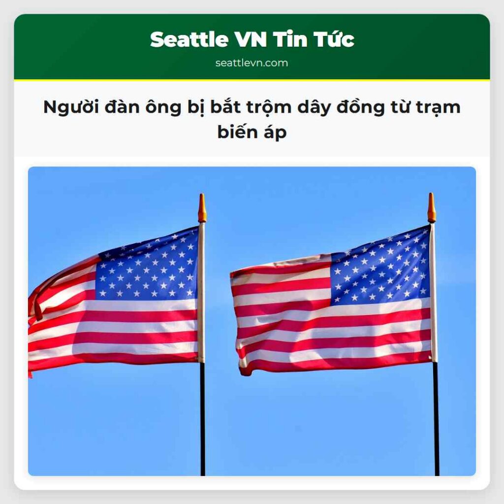 Người đàn ông bị bắt trộm dây đồng từ trạm biến áp