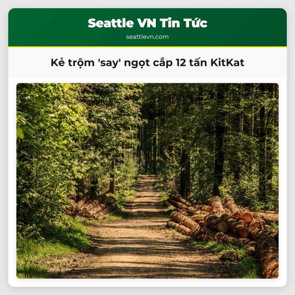 Kẻ trộm 'say' ngọt cắp 12 tấn KitKat