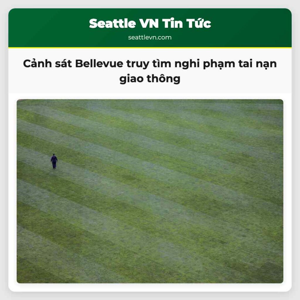 Cảnh sát Bellevue truy tìm nghi phạm tai nạn giao