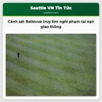 Cảnh sát Bellevue đang truy tìm nghi phạm vụ tai nạn giao thông nghiêm trọng