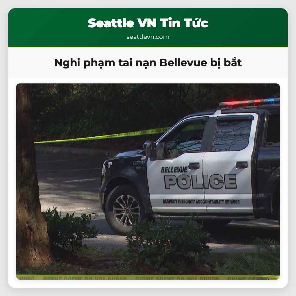 Nghi phạm tai nạn Bellevue bị bắt