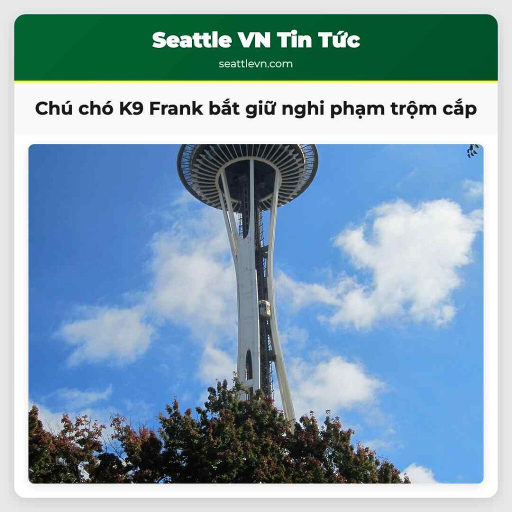 Chú chó K9 Frank bắt giữ nghi phạm trộm cắp