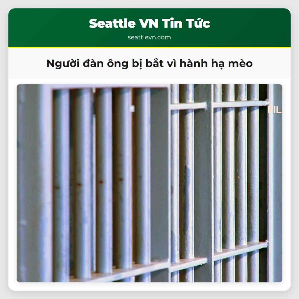 Người đàn ông bị bắt vì hành hạ mèo