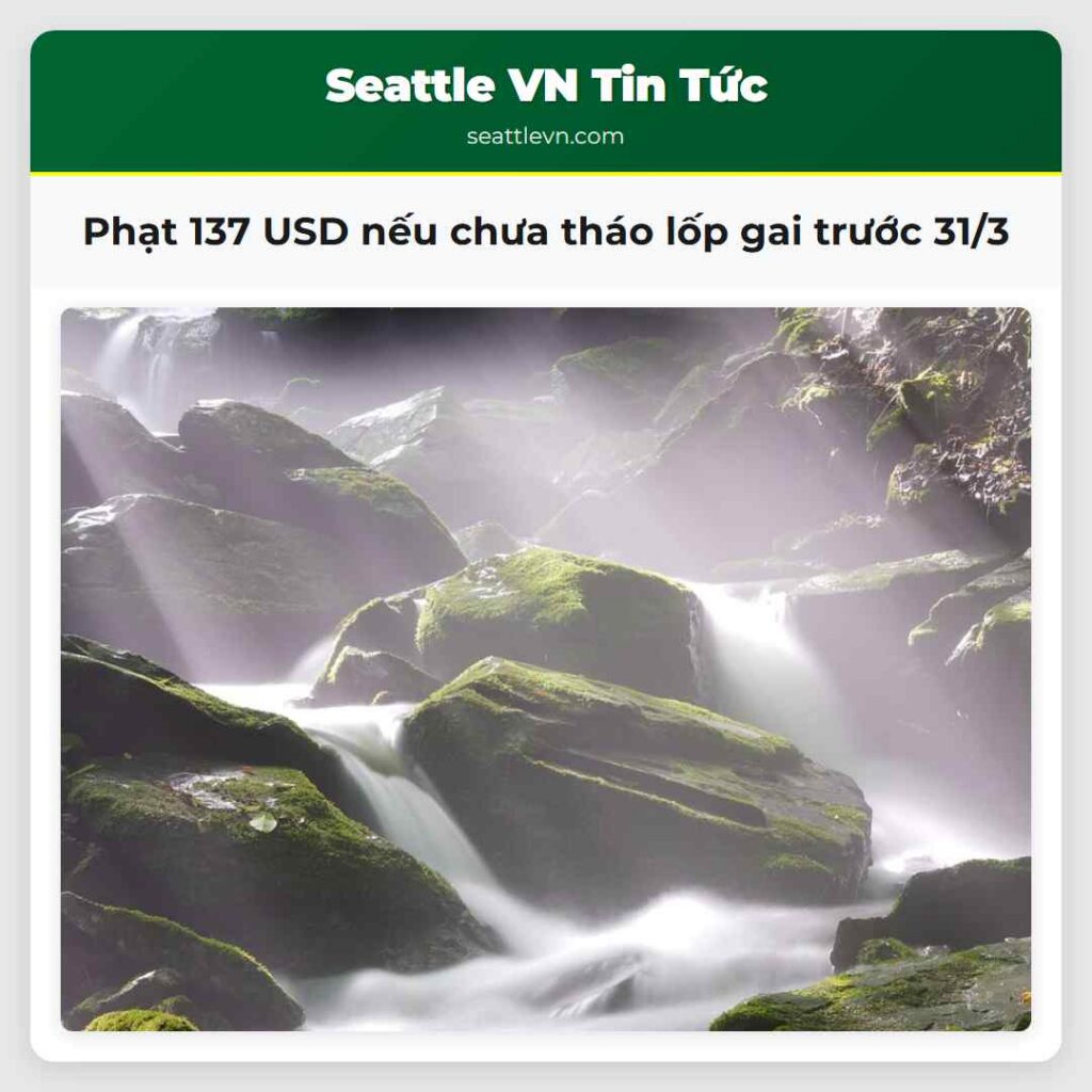 Phạt 137 USD nếu chưa tháo lốp gai trước 31/3