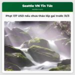 Phạt 137 USD cho tài xế chưa tháo lốp gai trước 31/3