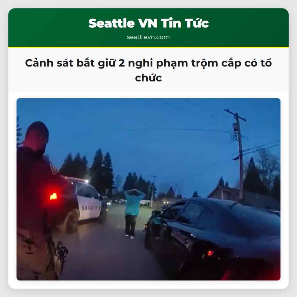 Cảnh sát bắt giữ 2 nghi phạm trộm cắp có tổ chức