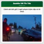 Cảnh sát TCSO truy đuổi nghi phạm trộm cắp có tổ chức qua nhiều thành phố bắt giữ lần thứ 98