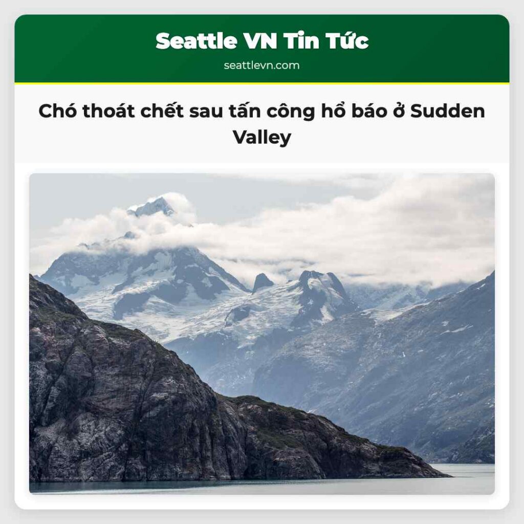 Chó thoát chết sau tấn công hổ báo ở Sudden Valley