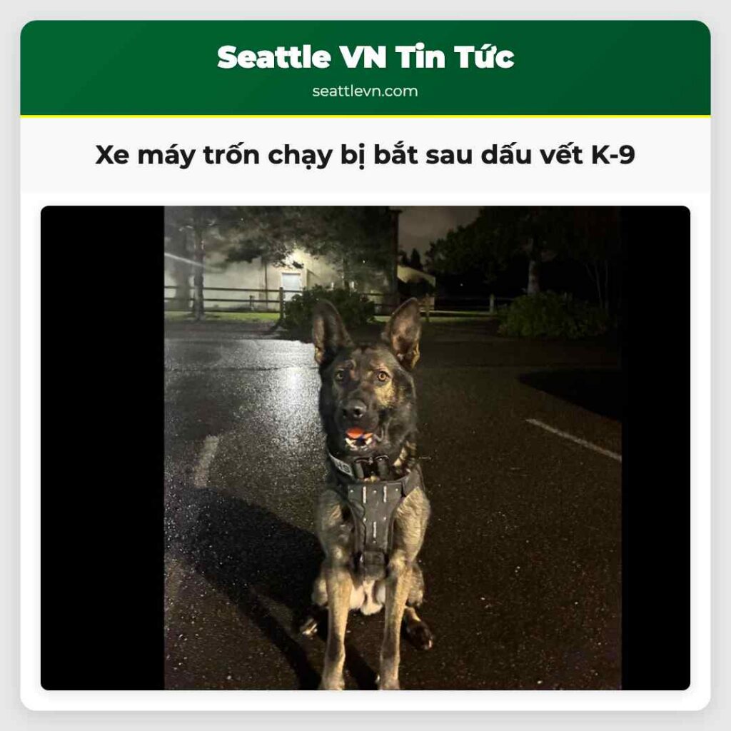 Xe máy trốn chạy bị bắt sau dấu vết K-9