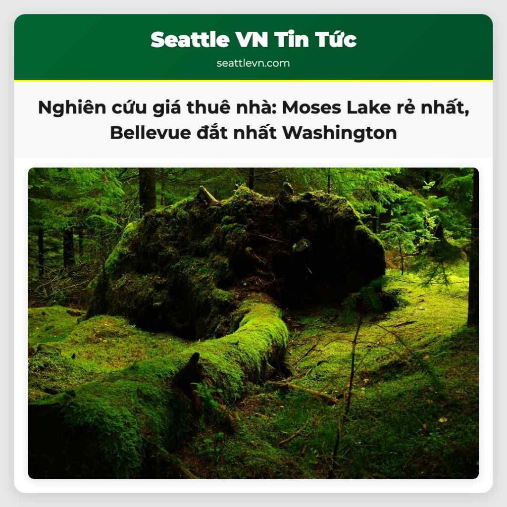 Nghiên cứu giá thuê nhà: Moses Lake rẻ nhất,