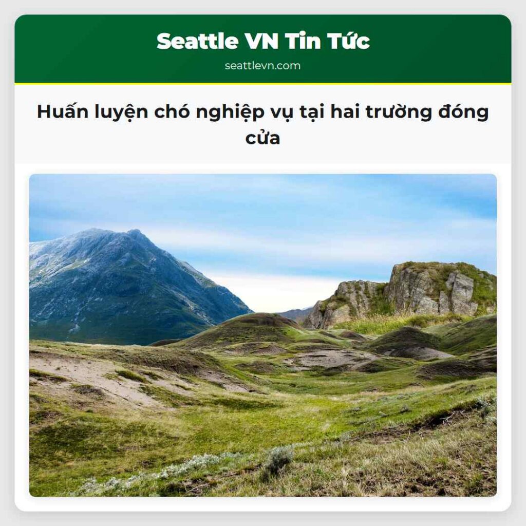 Huấn luyện chó nghiệp vụ tại hai trường đóng cửa