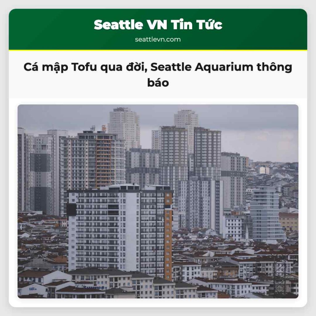 Cá mập Tofu qua đời, Seattle Aquarium thông báo