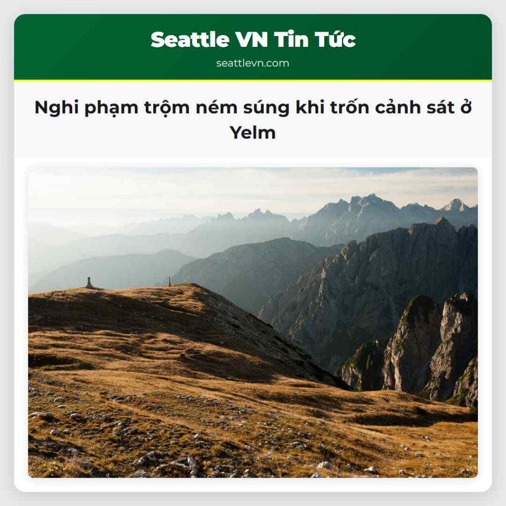 Nghi phạm trộm ném súng khi trốn cảnh sát ở Yelm