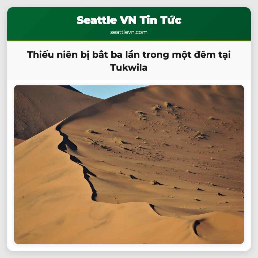 Thiếu niên bị bắt ba lần trong một đêm tại Tukwila