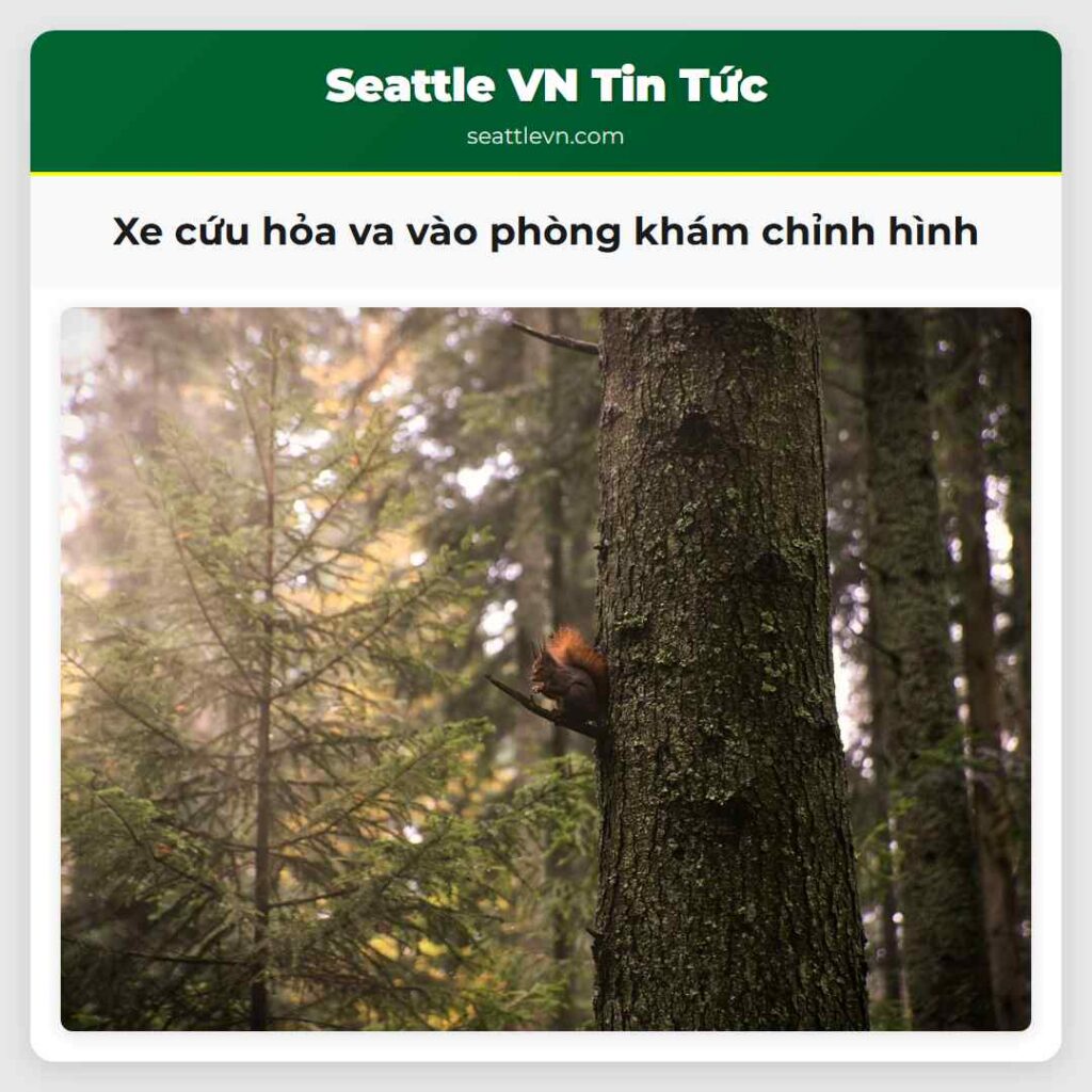 Xe cứu hỏa va vào phòng khám chỉnh hình