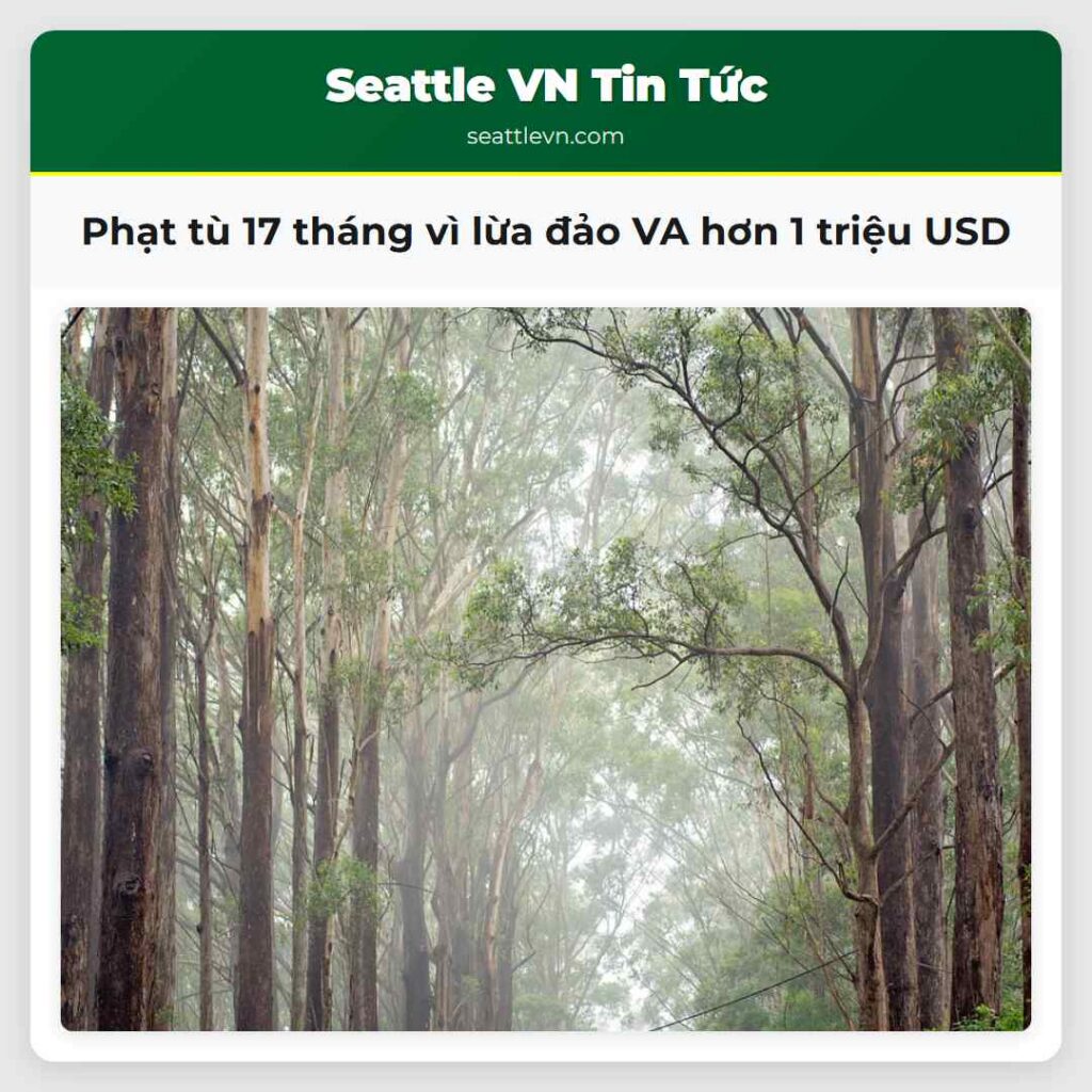 Phạt tù 17 tháng vì lừa đảo VA hơn 1 triệu USD