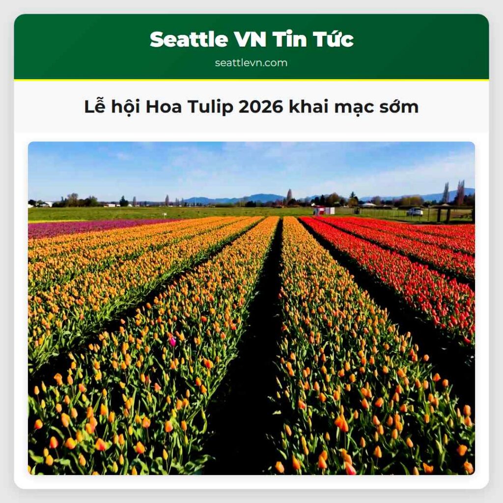 Lễ hội Hoa Tulip 2026 khai mạc sớm