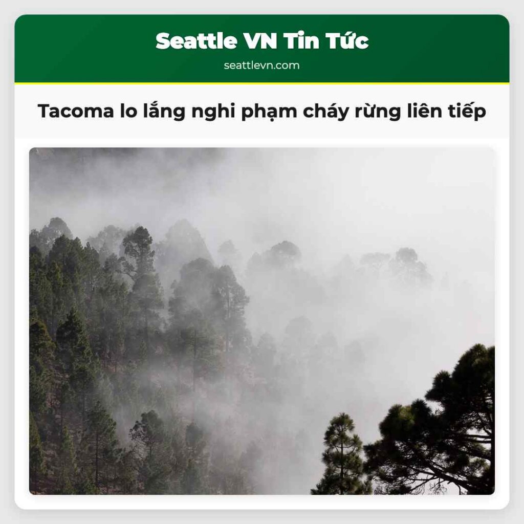 Tacoma lo lắng nghi phạm cháy rừng liên tiếp
