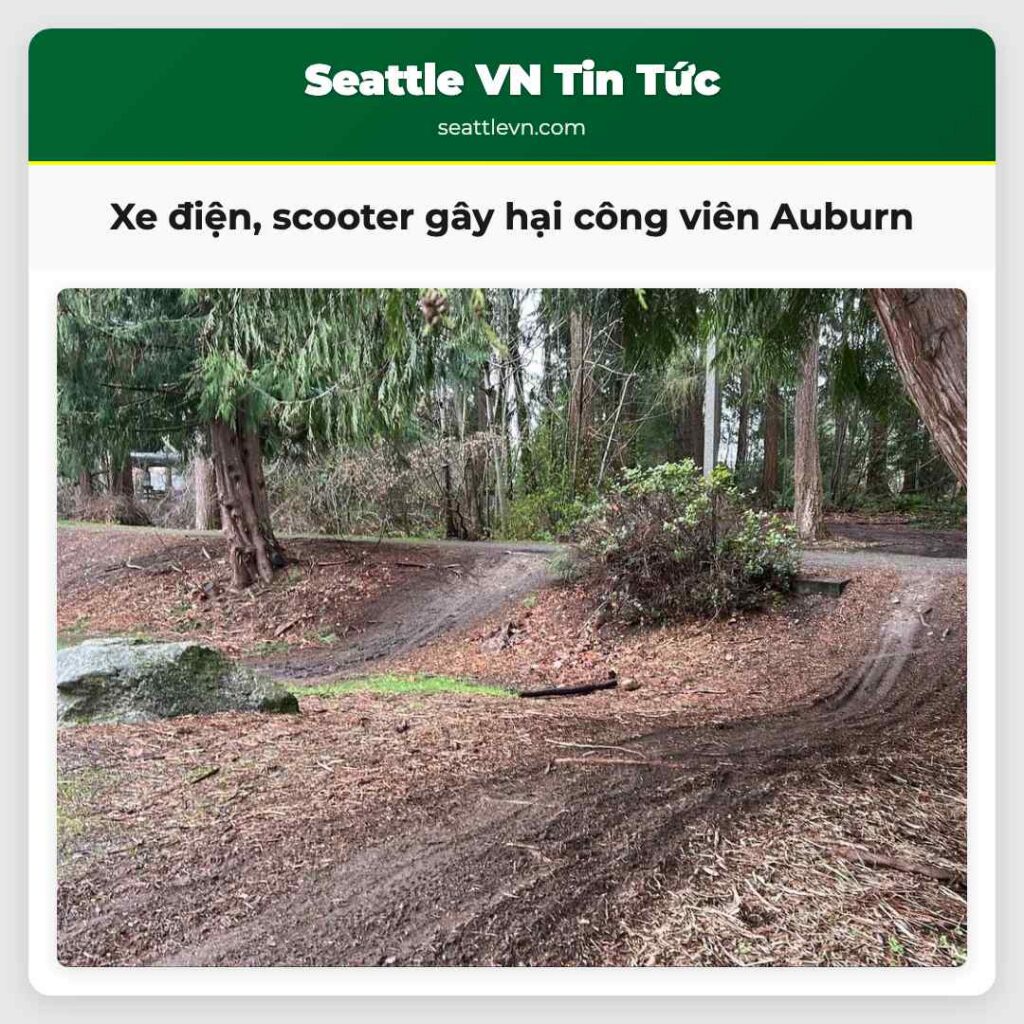 Xe điện, scooter gây hại công viên Auburn