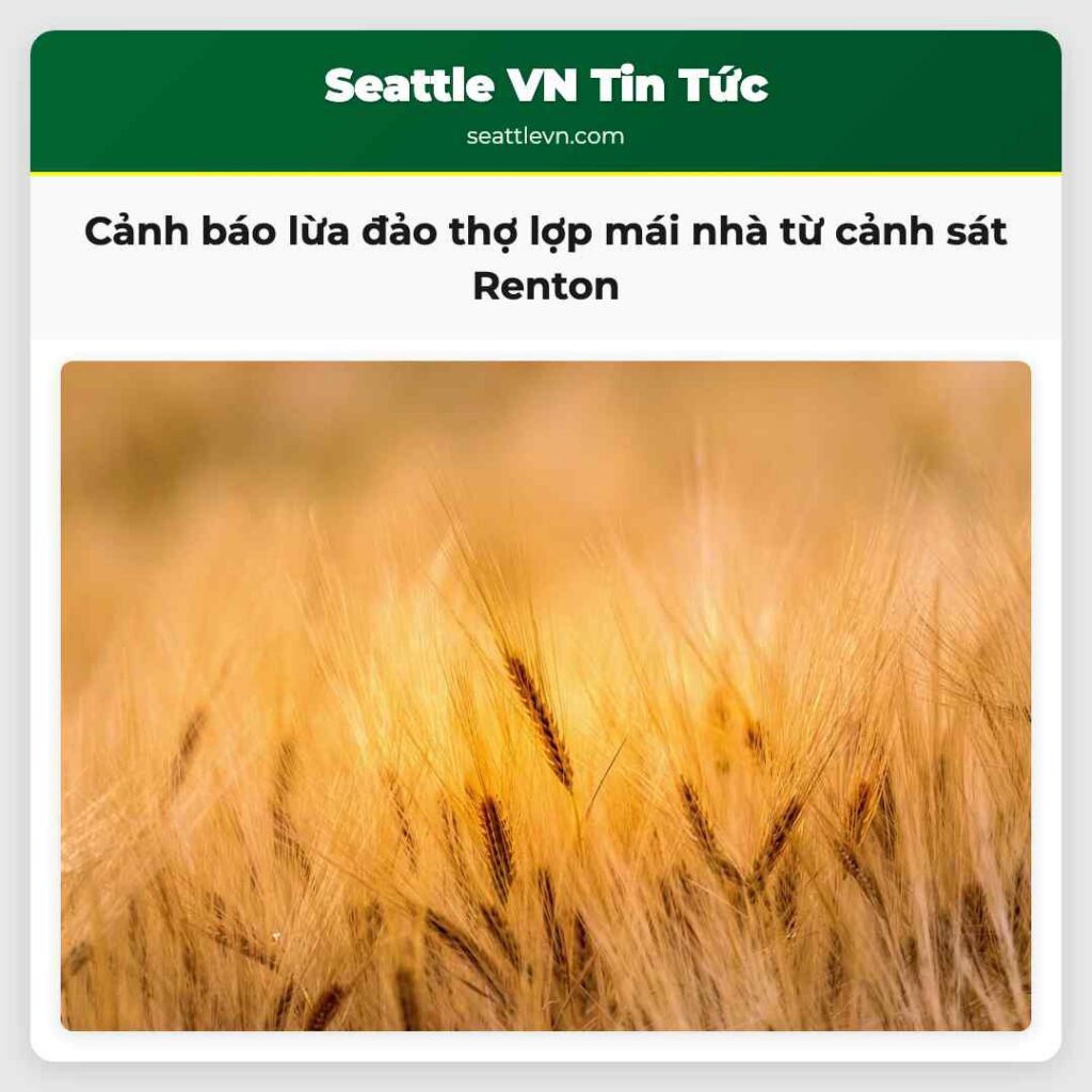 Cảnh báo lừa đảo thợ lợp mái nhà từ cảnh sát